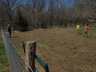 Fences