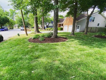 Photos by D&i Landscaping #1