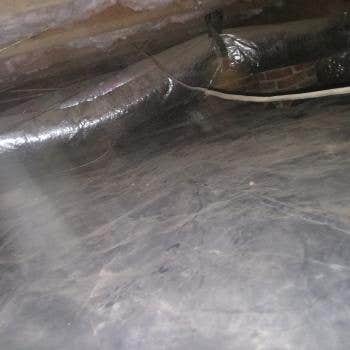 the Crawlspace King