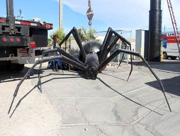 Photos by Preventive Pest Control ST. George #1