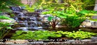 Photos by the Pond Pros of Southern California Advanced Pond Pro Inc #1