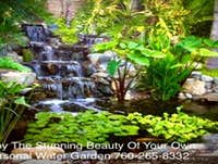 Photos by the Pond Pros of Southern California Advanced Pond Pro Inc #1