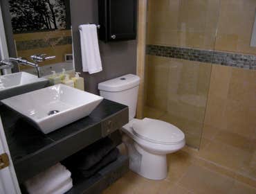 Small bath with shower replacing bath tub
