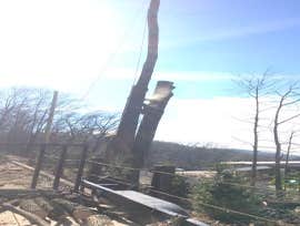 Photos by Don Cele Landscaping #1