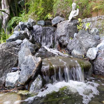 Malibu Landscaper
