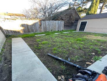Photos by Matias Landscaping #23
