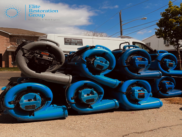 Photos by Elite Restoration Group #1 water damage restoration