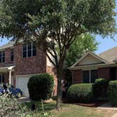 Carrollton Tree Service Company