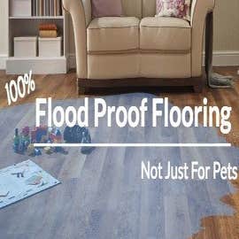Photos by Pet Floors of Texas #1