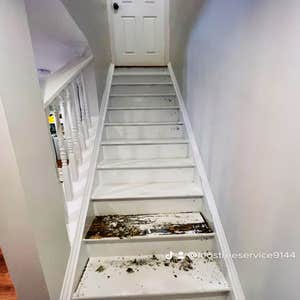 Photos by Leo’s Tree & Lawn Service Inc #4