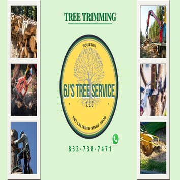 Photos by 6J'S Tree Service #1