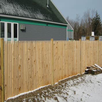 Cedar