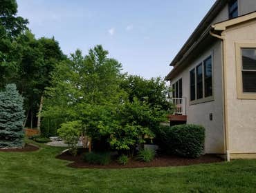 Photos by Jm Landscape and Tree Services #1