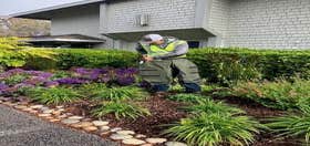 Gachina Landscape Management