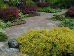 Photos by Re Landscapes Inc #1