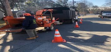 Photos by Palmer Tree Service #1