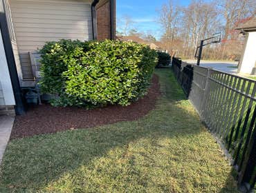 Photos by Neighborhood Lawn Service #2