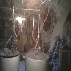Smith Brothers Plumbing, Inc. Project 1