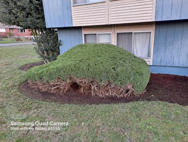 Photos by Best Northwestern Landscape Co #10