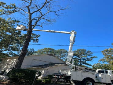 Photos by Rg Tree Services #10