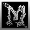 Mesquite Builders Inc logo