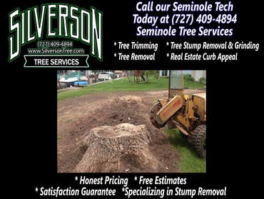 Photos by Silverson Tree Services #1