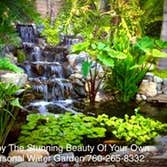Photos by the Pond Pros of Southern California Advanced Pond Pro Inc #1