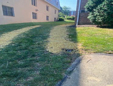 Photos by River Mountain Landscape & Property Services, Inc #1